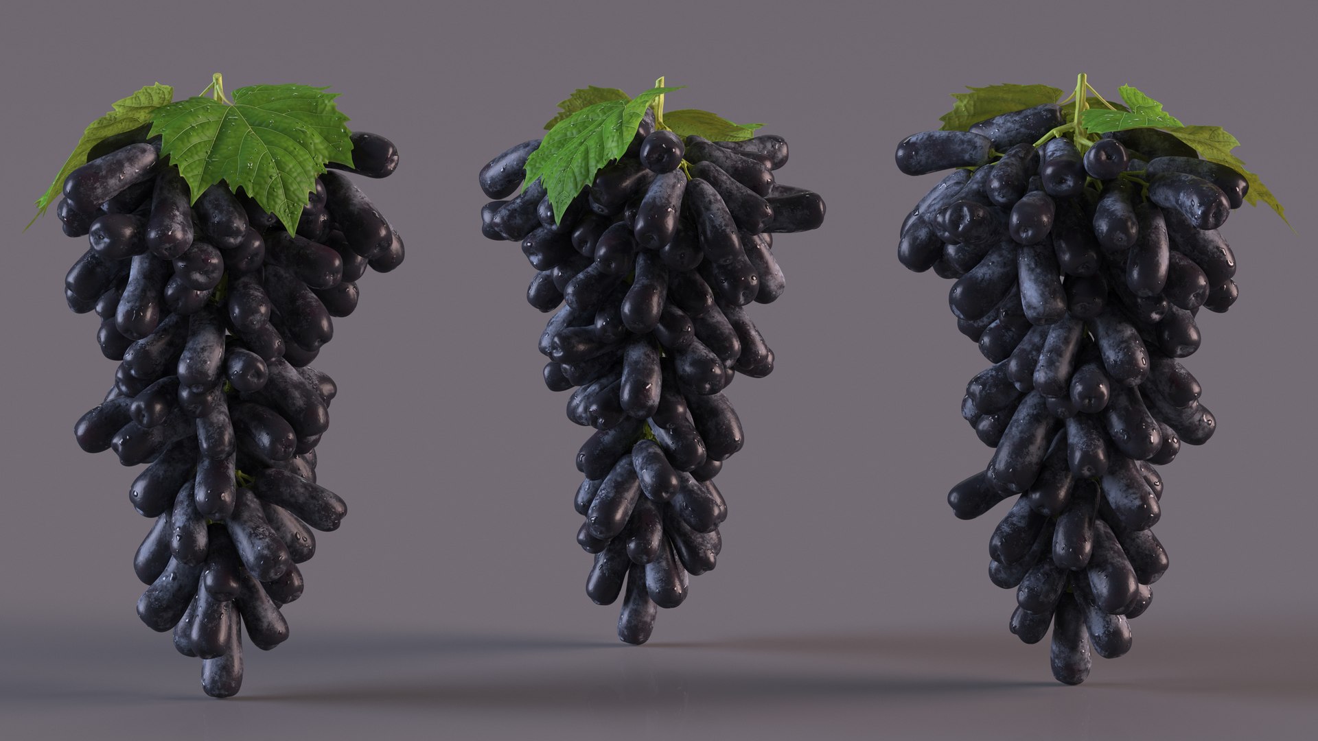 Grapes Collection 7 3D model https://p.turbosquid.com/ts-thumb/gY/AQCRl7/Pj/grapes_collection_7_005/jpg/1710749569/1920x1080/fit_q87/fd48aa3fb2a69dc1b2994e02fb8a8ff6fbc45df3/grapes_collection_7_005.jpg