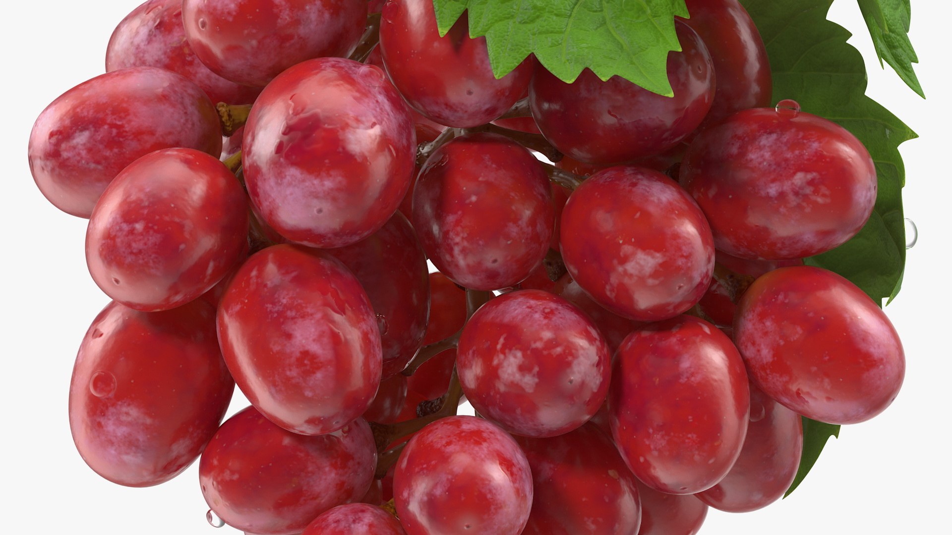 Grapes Collection 7 3D model https://p.turbosquid.com/ts-thumb/gY/AQCRl7/jj/grapes_collection_7_050/jpg/1710749594/1920x1080/fit_q87/0f09ada2535f8e2a40e8e9b5de09a3902b365a46/grapes_collection_7_050.jpg