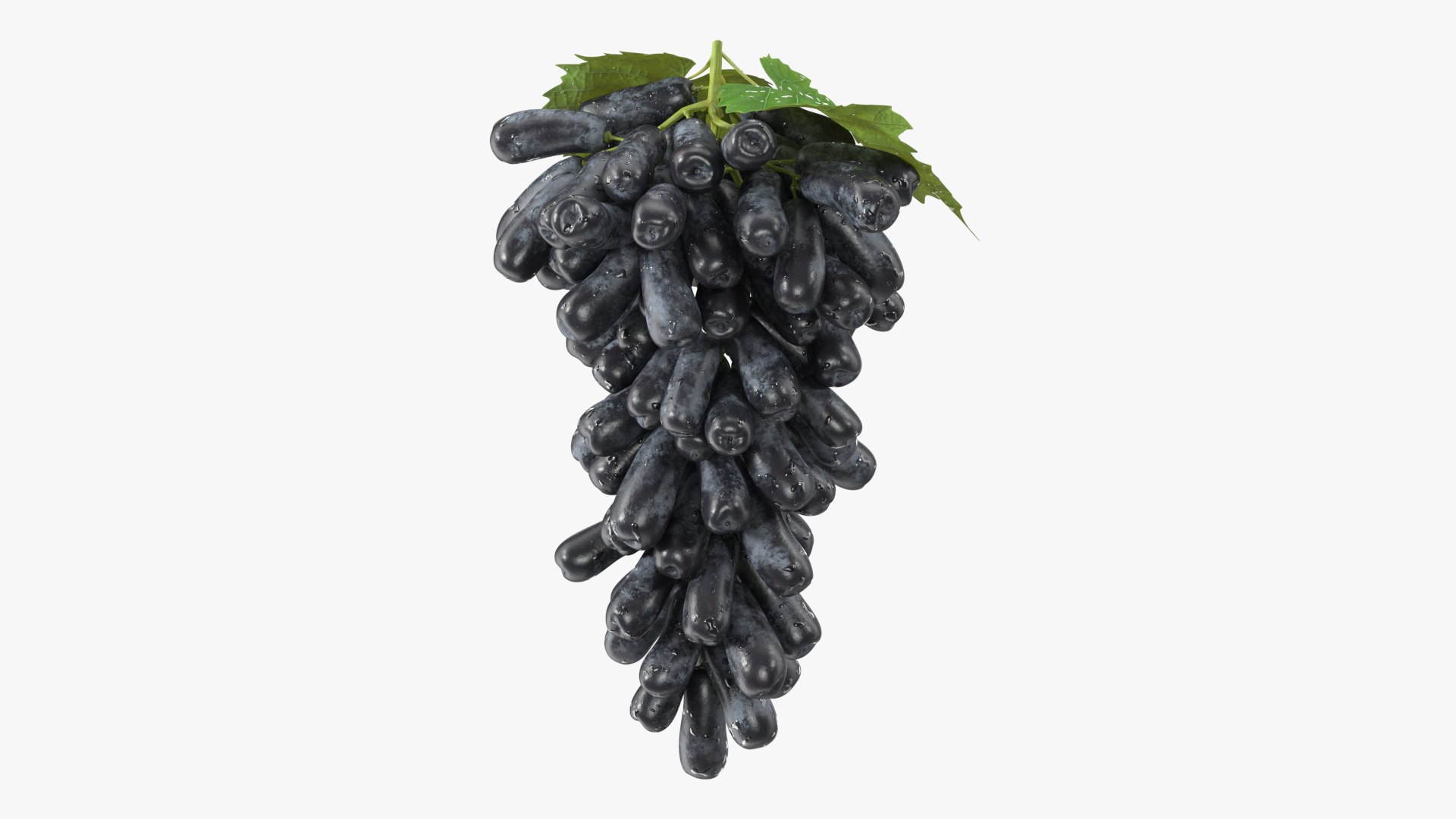 Grapes Collection 7 3D model https://p.turbosquid.com/ts-thumb/gY/AQCRl7/lH/grapes_collection_7_007/jpg/1710749560/1920x1080/fit_q87/d89b9a95d9f89b29e99cfd0570396e13ccf31b6b/grapes_collection_7_007.jpg