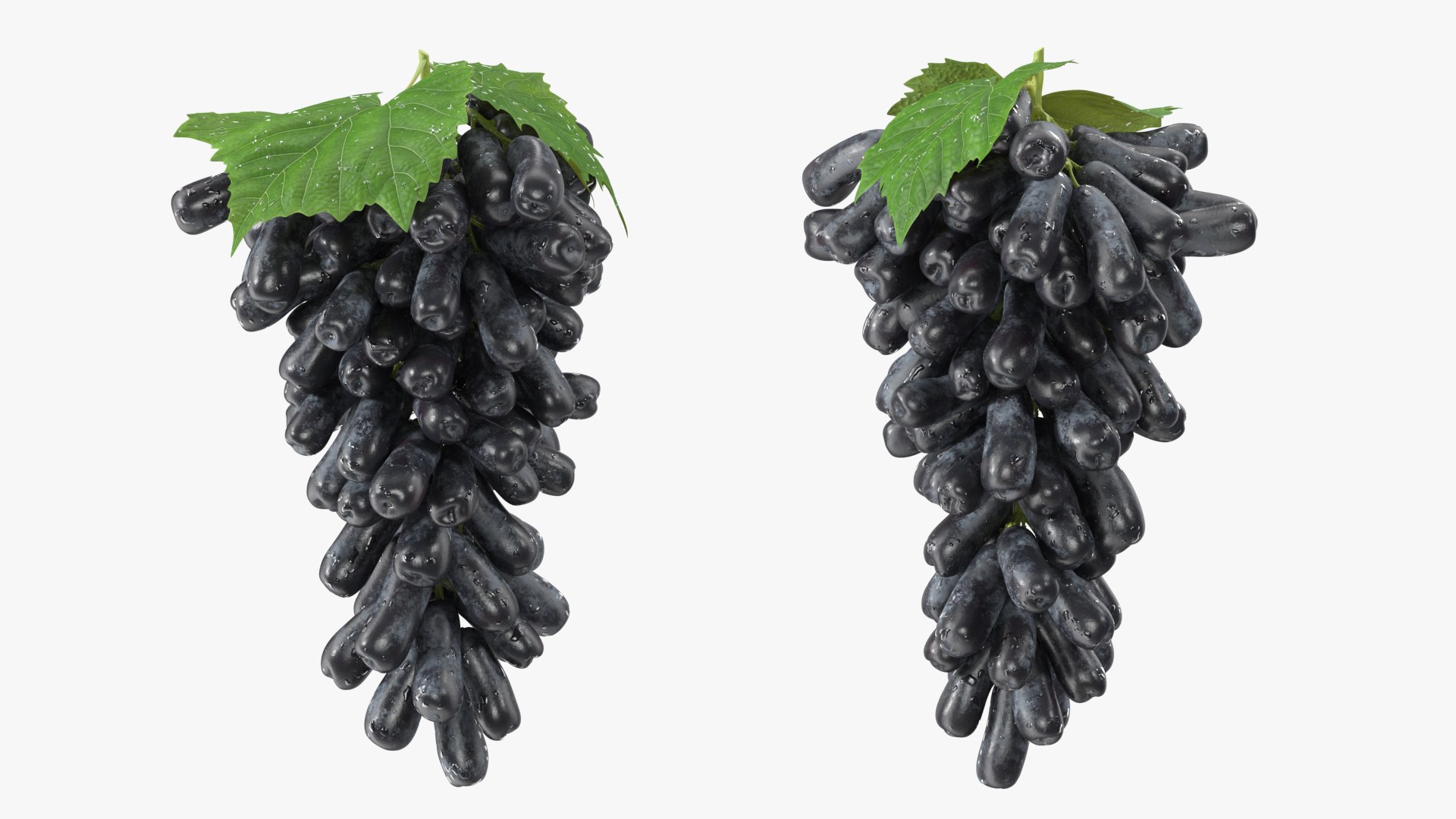 Grapes Collection 7 3D model https://p.turbosquid.com/ts-thumb/gY/AQCRl7/mE/grapes_collection_7_008/jpg/1710749563/1920x1080/fit_q87/ba94f1ff9251e66573f869c6ed82d6d9c55bdb18/grapes_collection_7_008.jpg