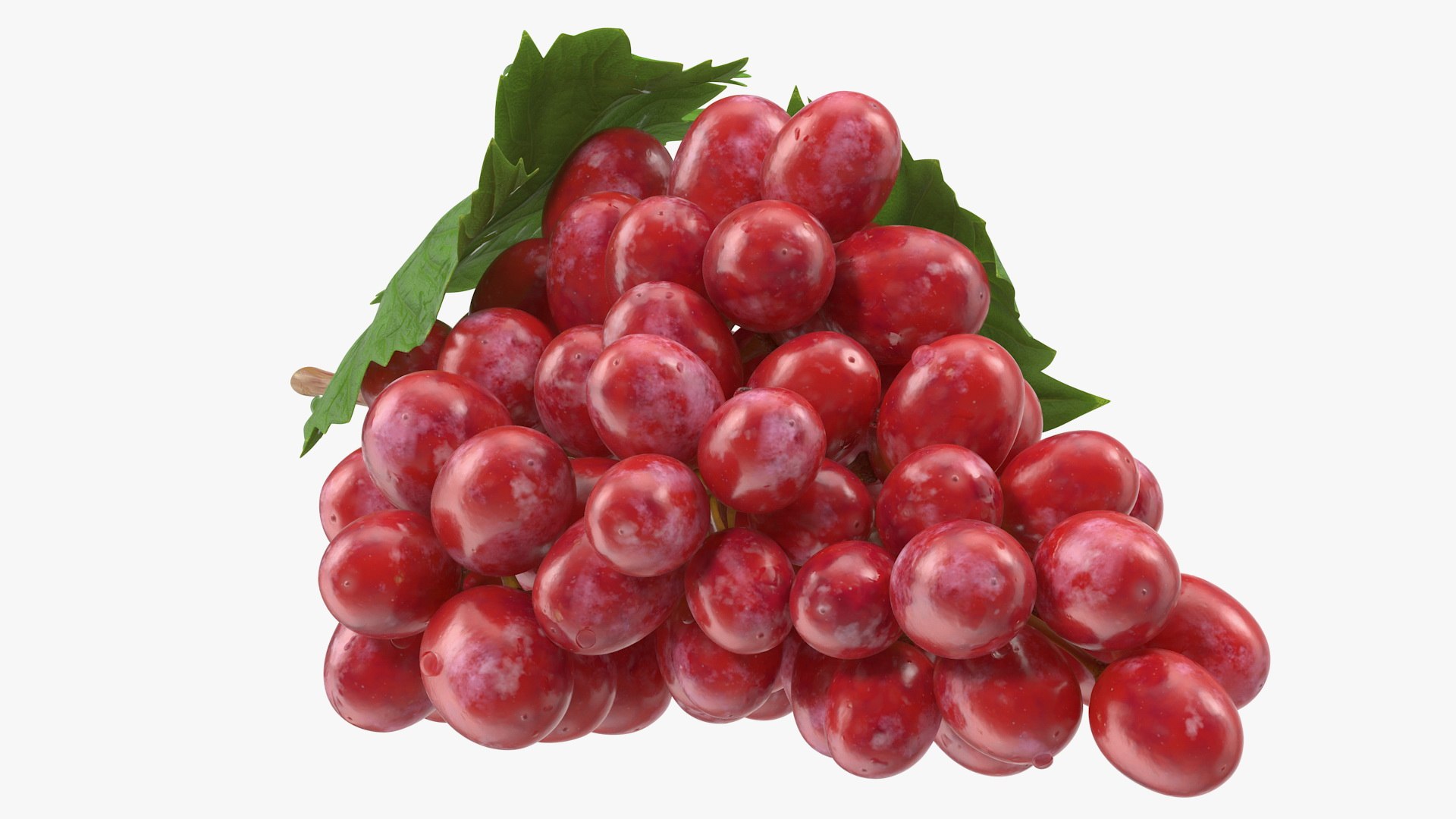 Grapes Collection 7 3D model https://p.turbosquid.com/ts-thumb/gY/AQCRl7/rj/grapes_collection_7_048/jpg/1710749593/1920x1080/fit_q87/8c52ce43ef6ab69caa4bb709d610518fecec1781/grapes_collection_7_048.jpg