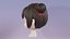 Coiffure Femme 03