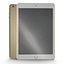 Collezione di iPad