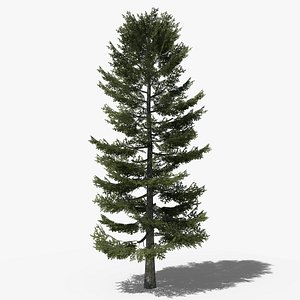 Pine v2 3D model