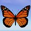 Monarch.obj