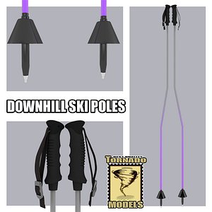 downhill ski poles giant 3d max