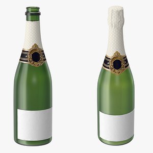 Champagne Bottle 01 Open and Closed