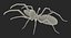 Rigged Spiders Collection 3 for Maya 3D model