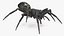 Rigged Spiders Collection 3 for Maya 3D model