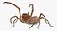 Rigged Spiders Collection 3 for Maya 3D model