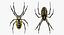 Rigged Spiders Collection 3 for Maya 3D model