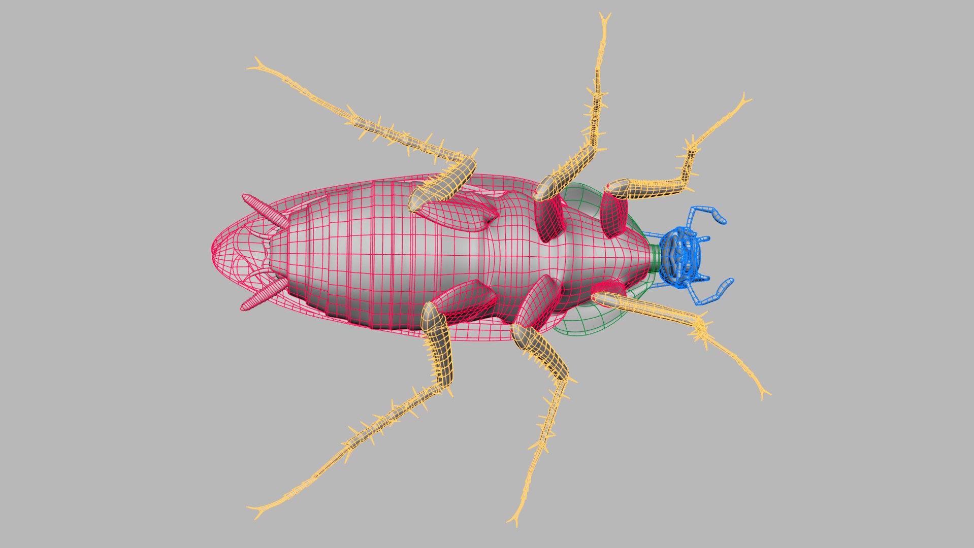 Cockroach Radioactive Animation 3D Model TurboSquid 1296813