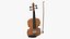 Violin