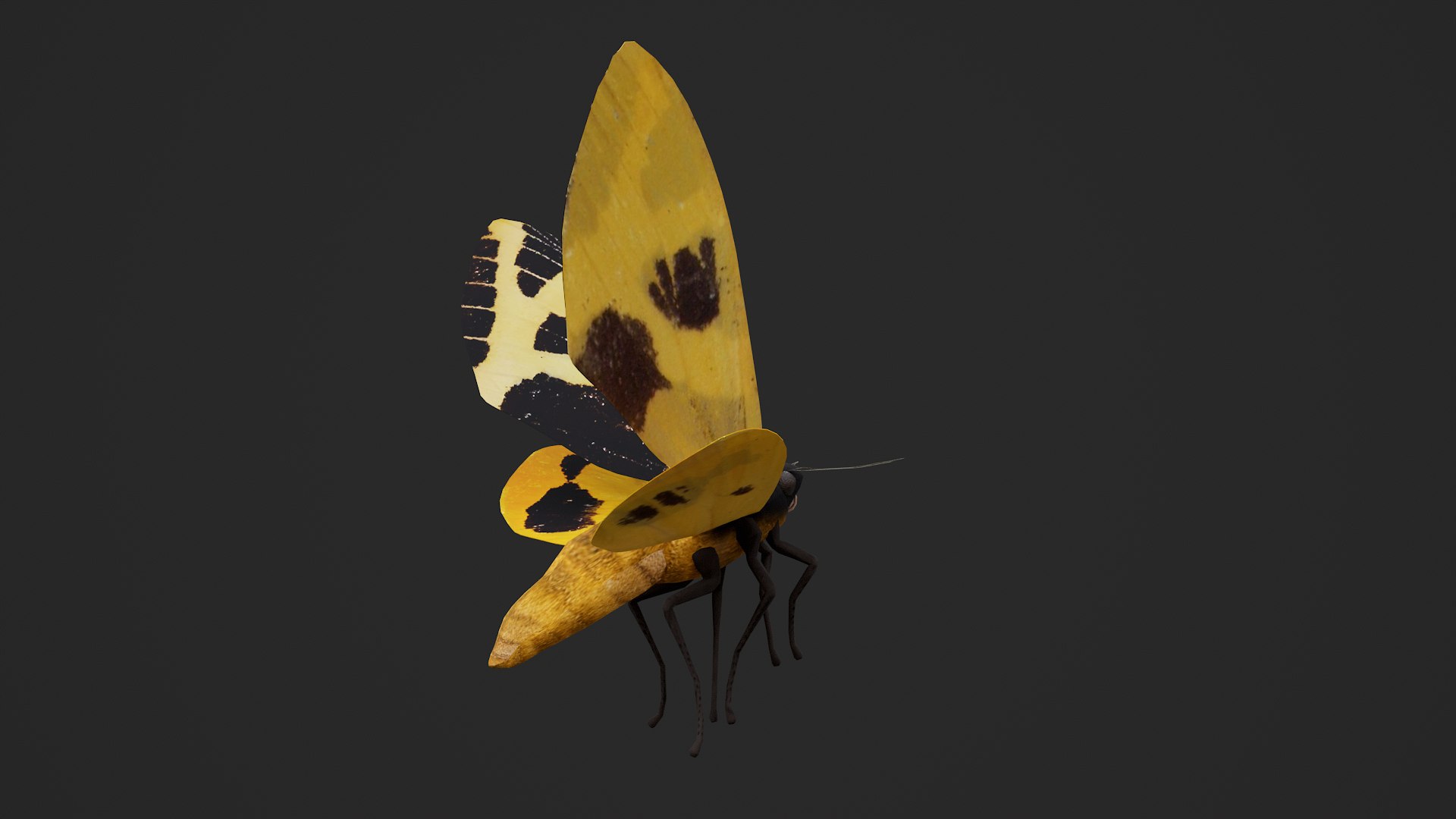 Moth Numenes disparilis 3D model https://p.turbosquid.com/ts-thumb/gZ/GEWMu9/FS/000_002/png/1780824360/1920x1080/fit_q87/8a4a06ccf5f005b0009838e85b3f0ac85765c903/000_002.jpg
