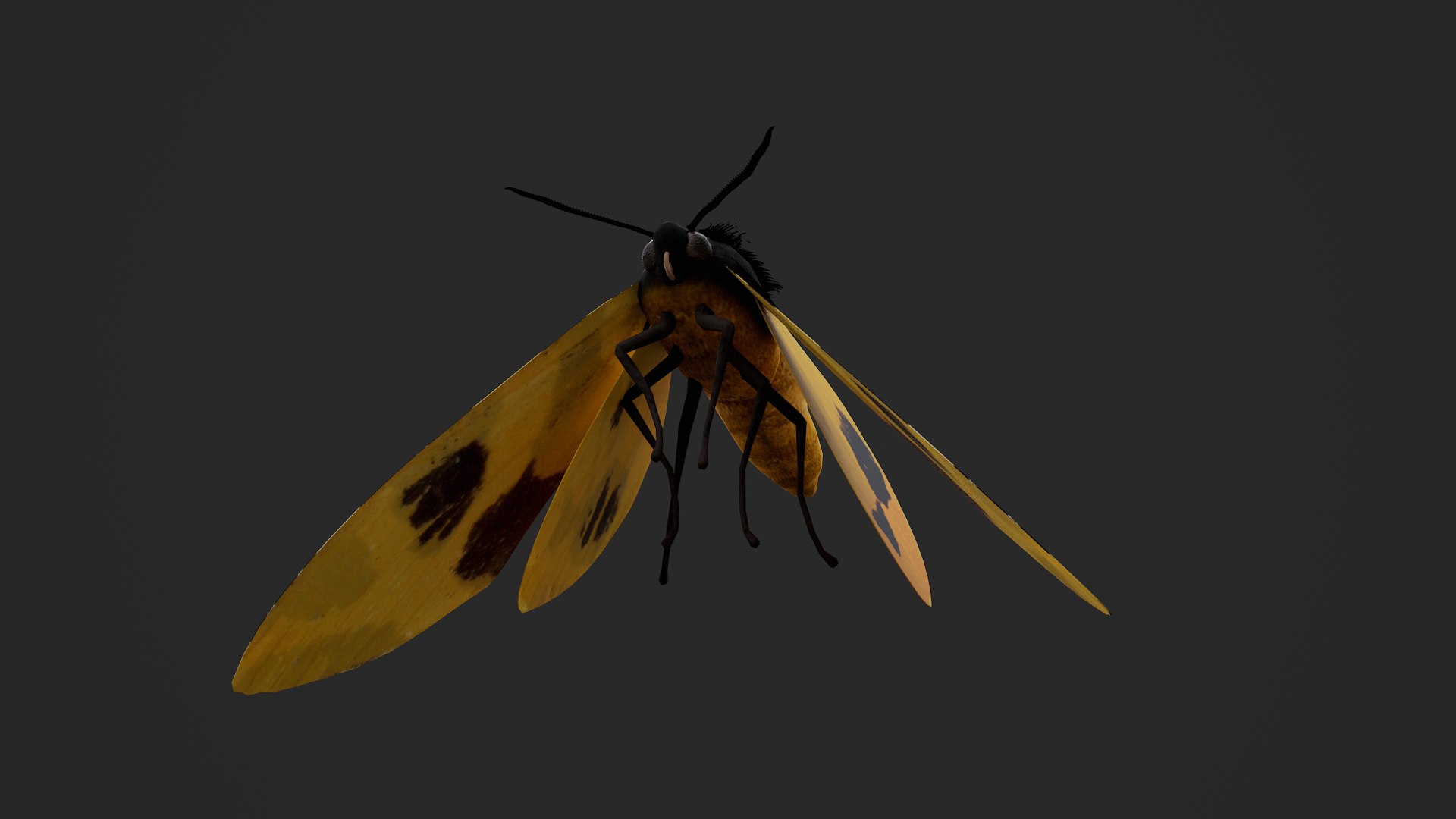 Moth Numenes disparilis 3D model https://p.turbosquid.com/ts-thumb/gZ/GEWMu9/t4/000_003/png/1780824363/1920x1080/fit_q87/4f3affe5931f3f436790c6718e2ef5fa02965b22/000_003.jpg