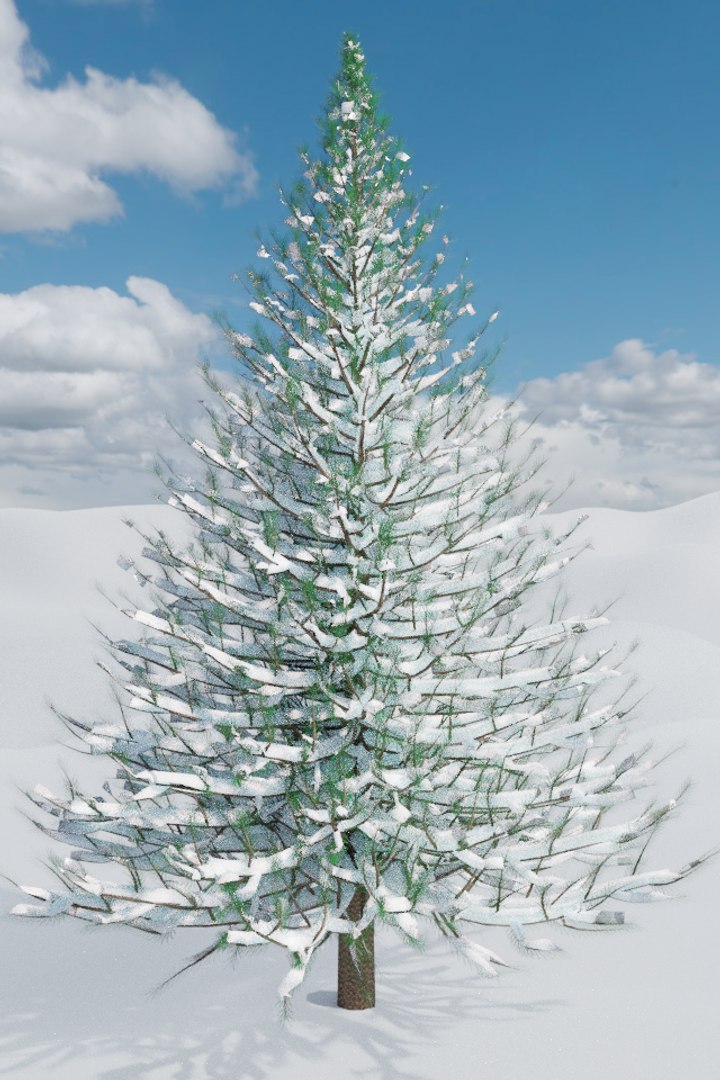 Snow-covered pine tree 3D - TurboSquid 1189355