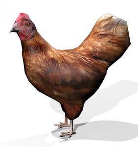 3d model chicken pecking