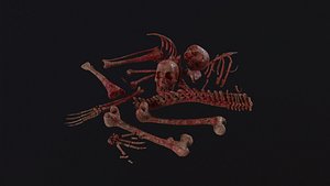 Creepy Pile of bones