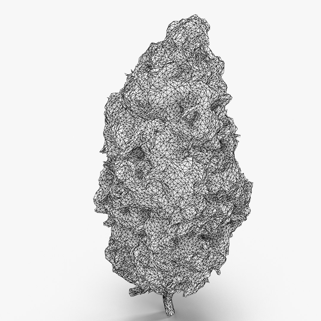 Cannabis Bud 3d Max