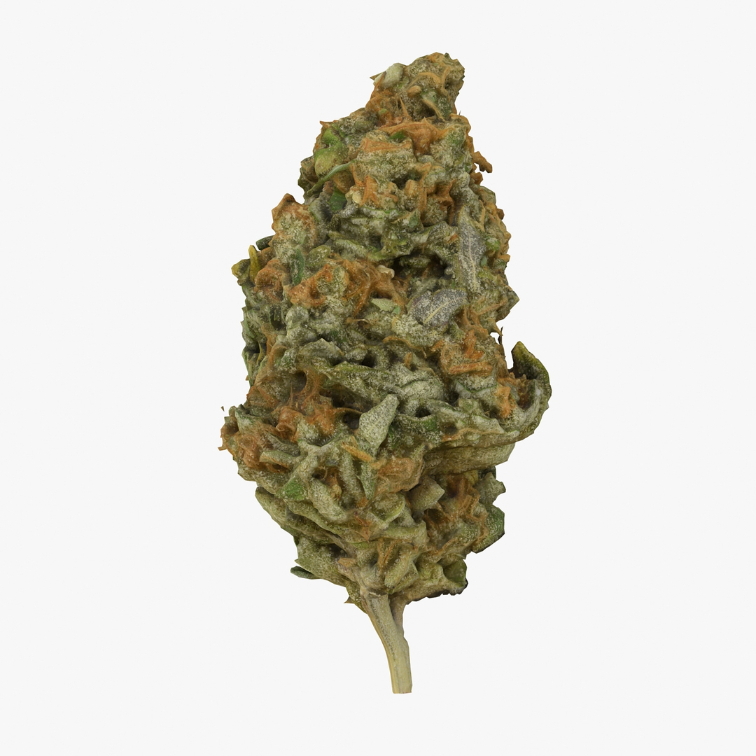 Cannabis Bud 3d Max