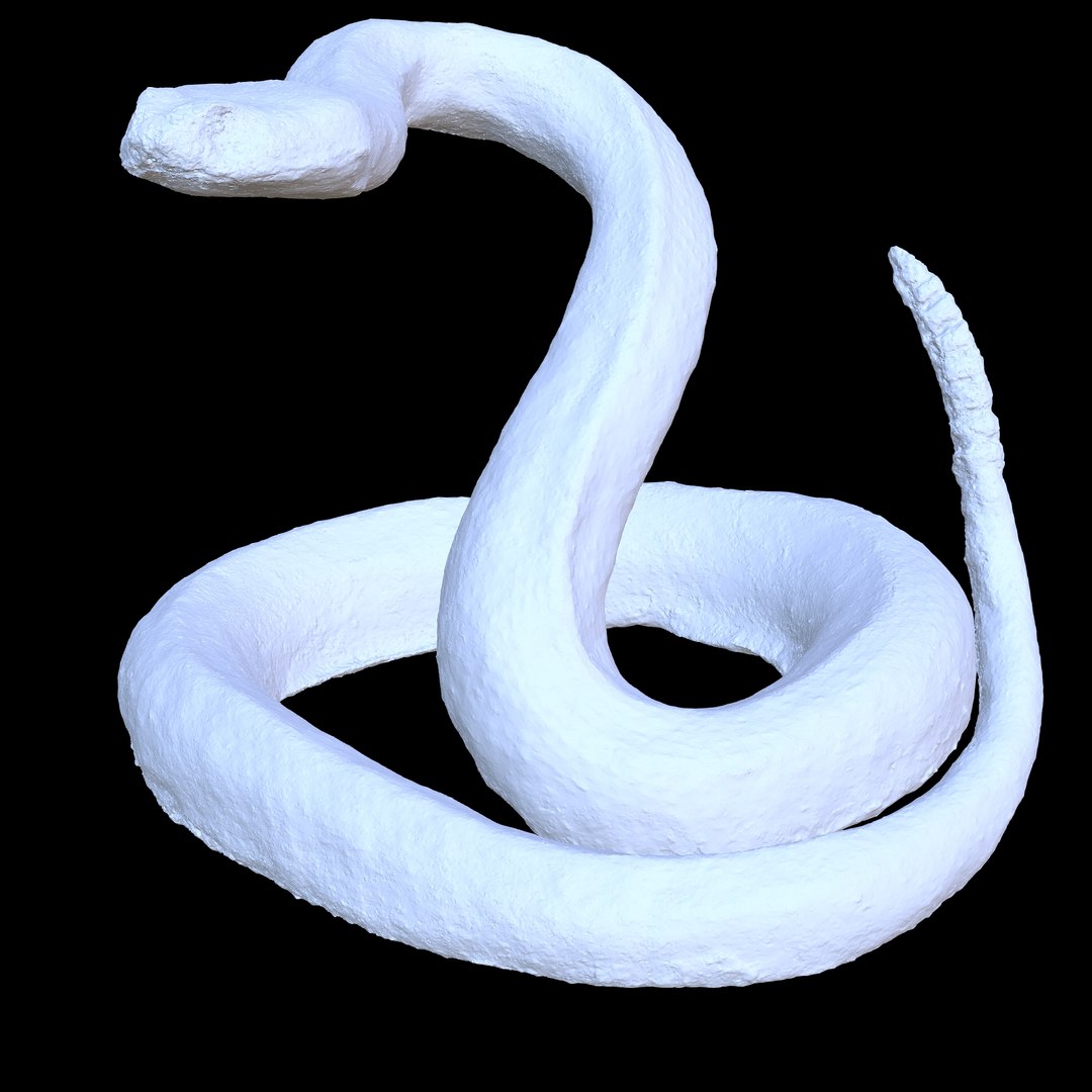 3D Model PYTHON VIPER SNAKE - TurboSquid 2381389