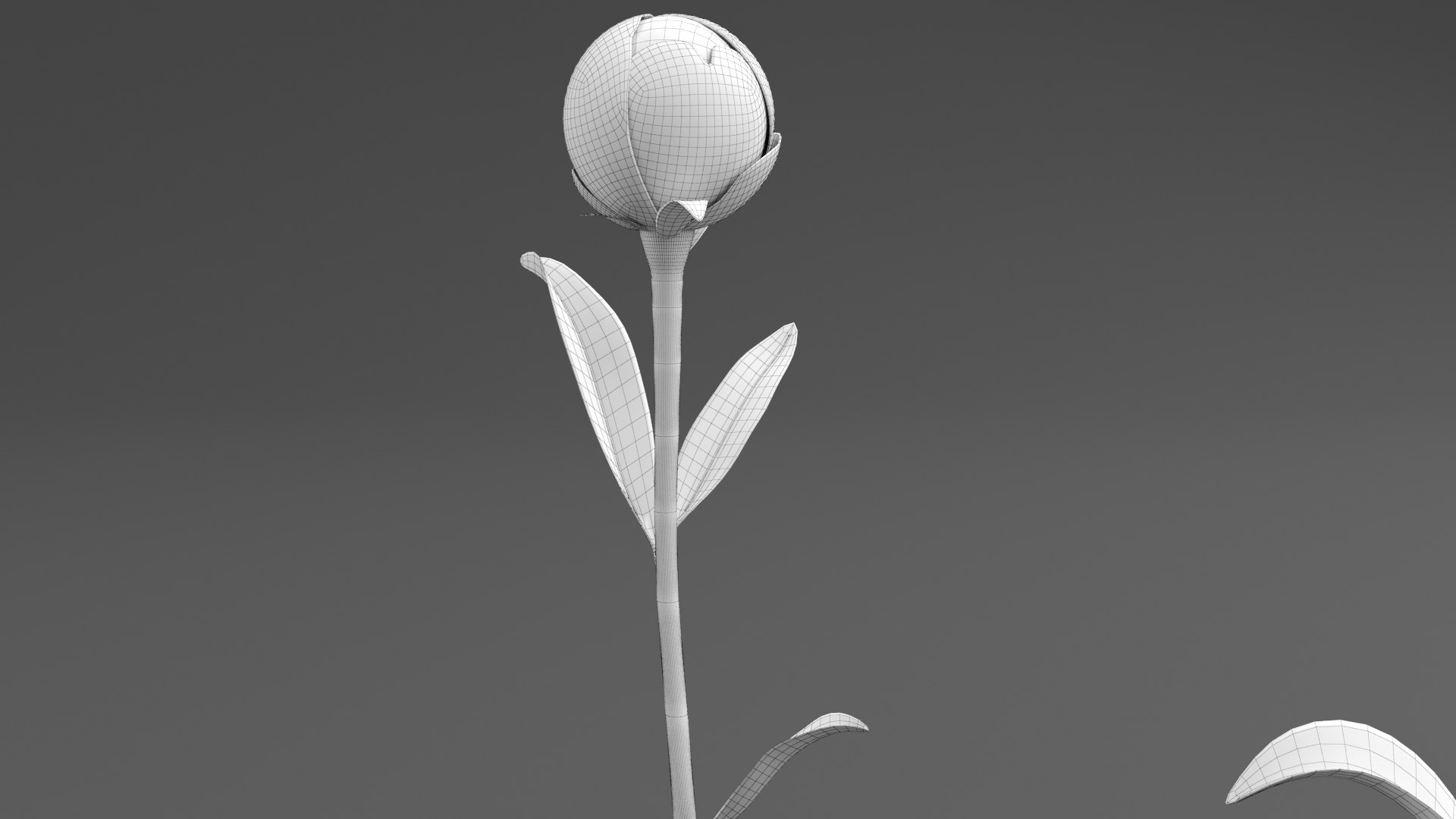 3D Violet Peonies https://p.turbosquid.com/ts-thumb/gZ/p9KImR/UT/peony_wire5/png/1686952365/1920x1080/fit_q87/4b057109607701abc74935b403178001d50aa379/peony_wire5.jpg