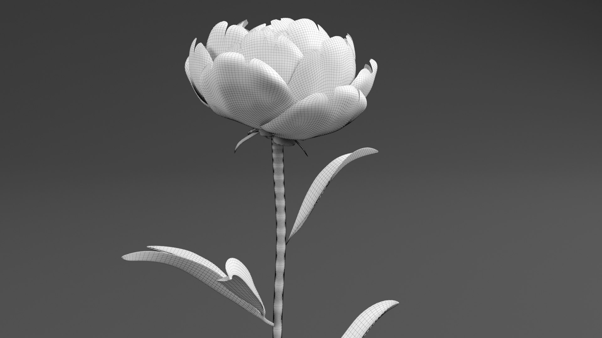 3D Violet Peonies https://p.turbosquid.com/ts-thumb/gZ/p9KImR/YO/peony_wire2/png/1686952365/1920x1080/fit_q87/e57a82a1ec1cdce9c6b29a020844fe509fb0c951/peony_wire2.jpg