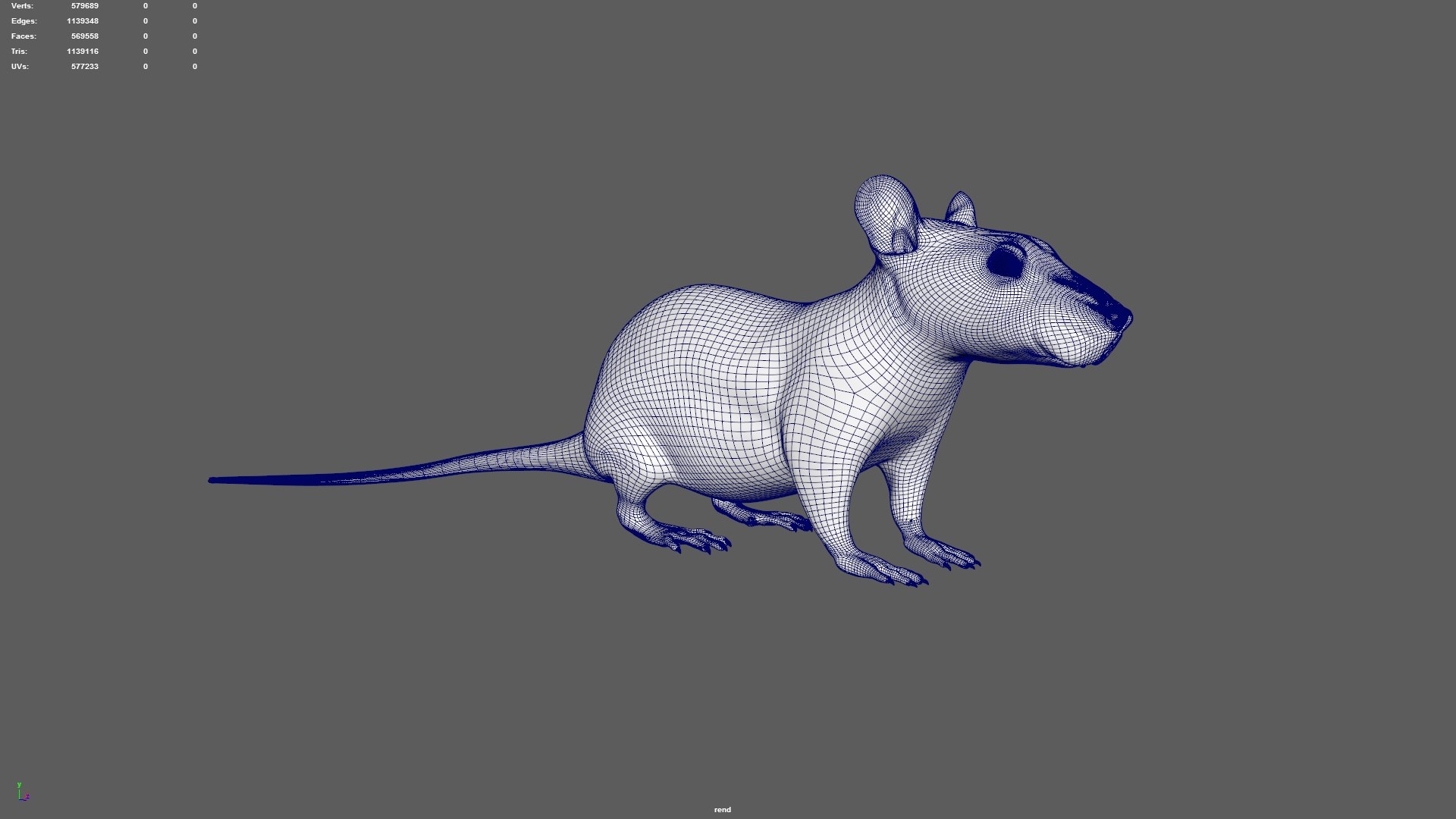 Rat Rig 3D Model - TurboSquid 1368181