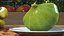 Ficus Carica Verde Mitad