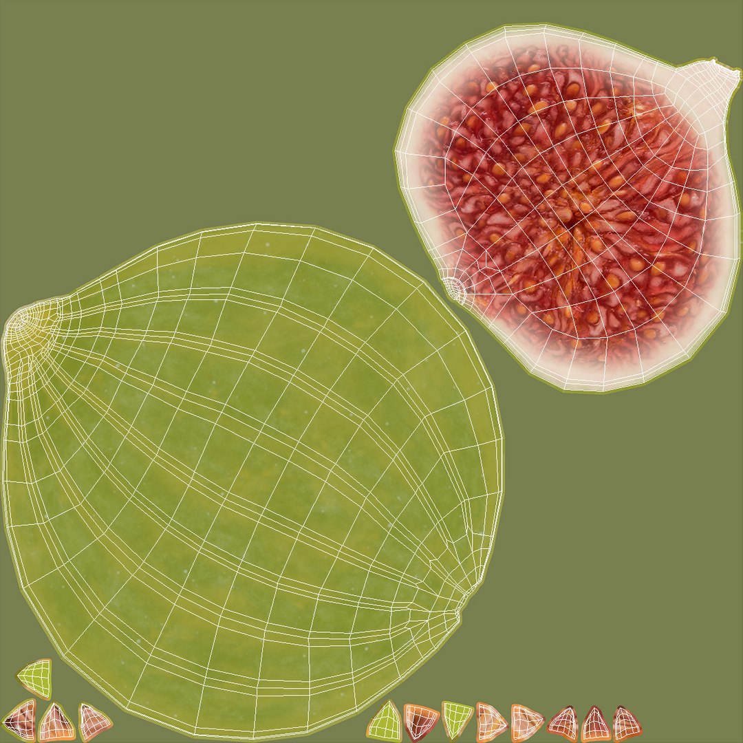 3D Ficus Carica Green Half https://p.turbosquid.com/ts-thumb/gZ/wzk0G8/FH/ficuscaricagreenhalf3dmodel016/jpg/1682488912/1920x1080/fit_q87/456921667fa4b55b7c792bc4a68aa36e53ab8476/ficuscaricagreenhalf3dmodel016.jpg