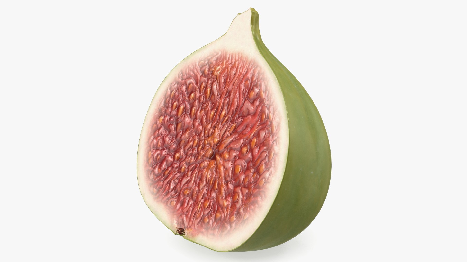 Ficus Carica Green Half 3D model preview