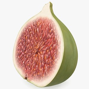 3D Ficus Carica Green Half