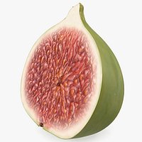 Ficus Carica Green Half