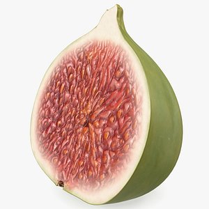 Ficus Carica Green Half