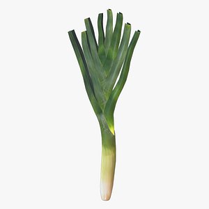 Leek Low Poly 3D model