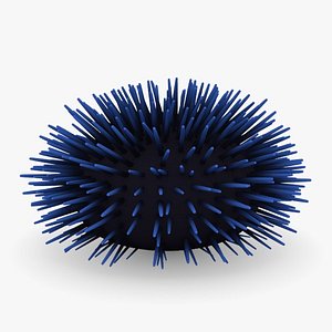 sea urchin 3d obj