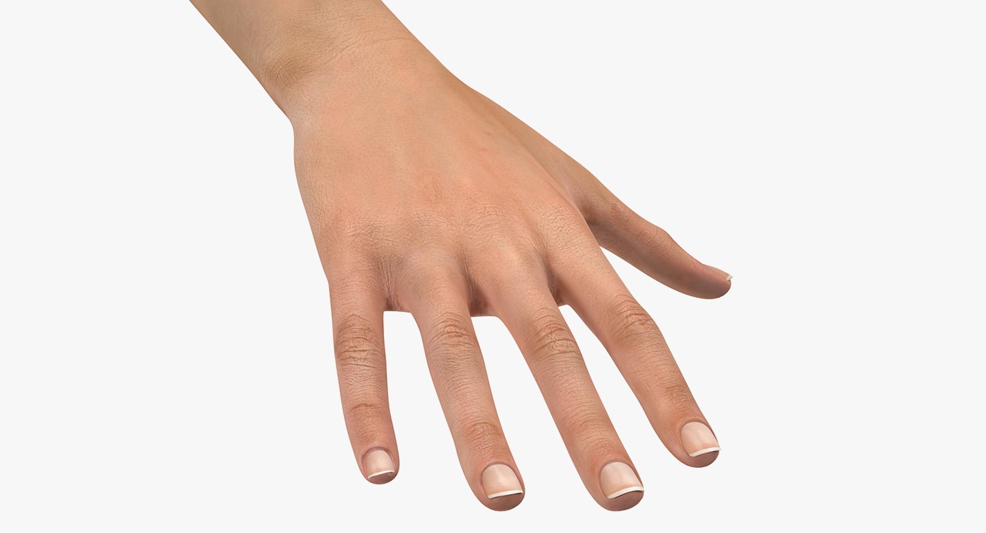 Australoid Female Hand 3D model preview