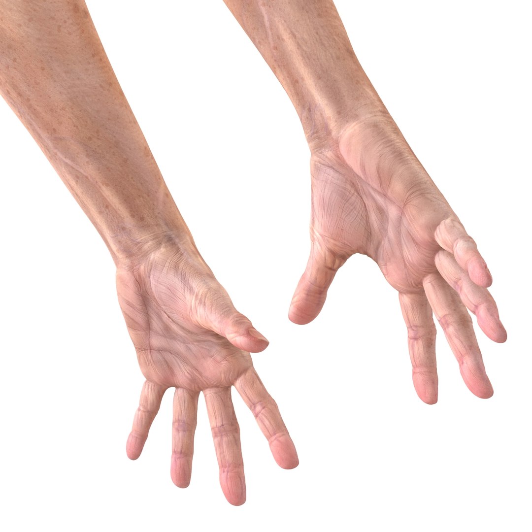 max old man hands 3 https://p.turbosquid.com/ts-thumb/ga/CnCB4R/DdIesjWC/oldmanhandsobj3dmodel11/jpg/1458629575/1920x1080/fit_q87/ed9964ce3a404d5ee8e8c5621ecc6ebdef821b3f/oldmanhandsobj3dmodel11.jpg