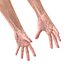Old Man Hands 3 Pose 4 3D Model