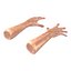Old Man Hands 3 Pose 4 3D Model