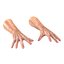 Old Man Hands 3 Pose 4 3D Model