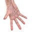 Old Man Hands 3 Pose 4 3D Model