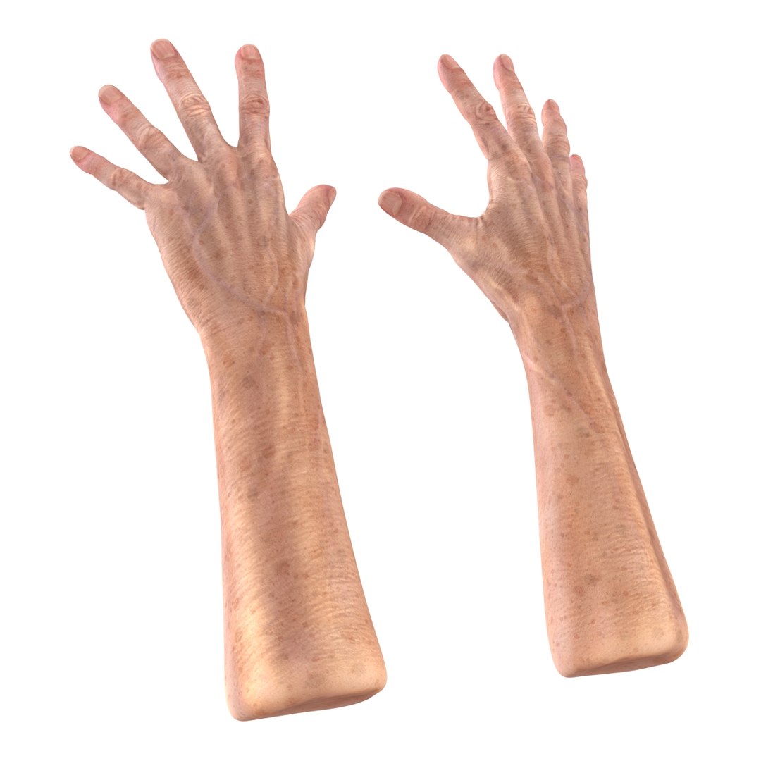 max old man hands 3 https://p.turbosquid.com/ts-thumb/ga/CnCB4R/fIG3GLdy/oldmanhandsobj3dmodel07/jpg/1458629574/1920x1080/fit_q87/11716536a2031d3fb8687d9aba77259e1c4059b0/oldmanhandsobj3dmodel07.jpg