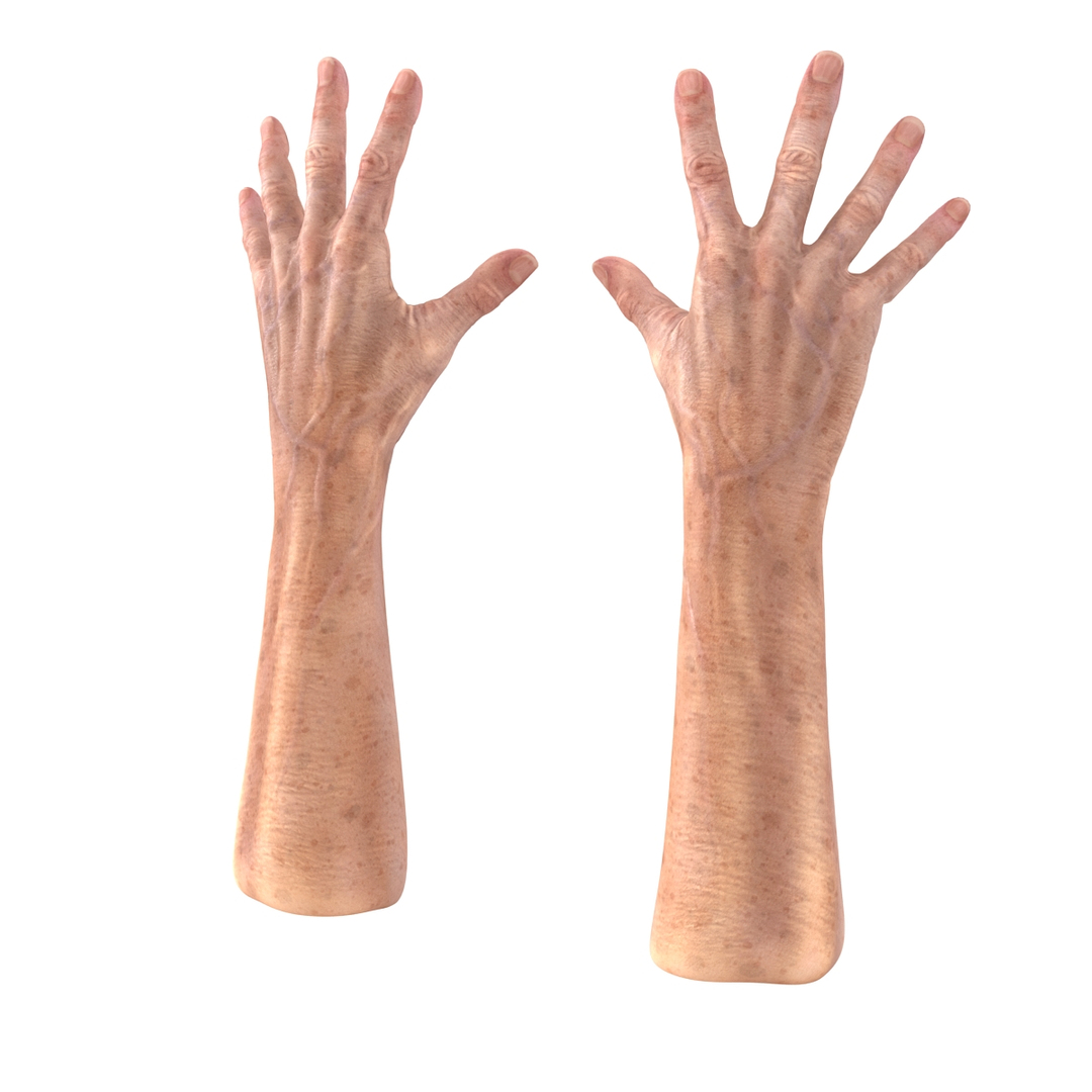 max old man hands 3 https://p.turbosquid.com/ts-thumb/ga/CnCB4R/iIw4oB2f/old_man_hands_3_pose_4_360/jpg/1458629631/1920x1080/turn_fit_q99/90e4319ee18e88bc1fc59885356fad02b548f7ea/old_man_hands_3_pose_4_360-1.jpg