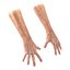 Old Man Hands 3 Pose 4 3D Model