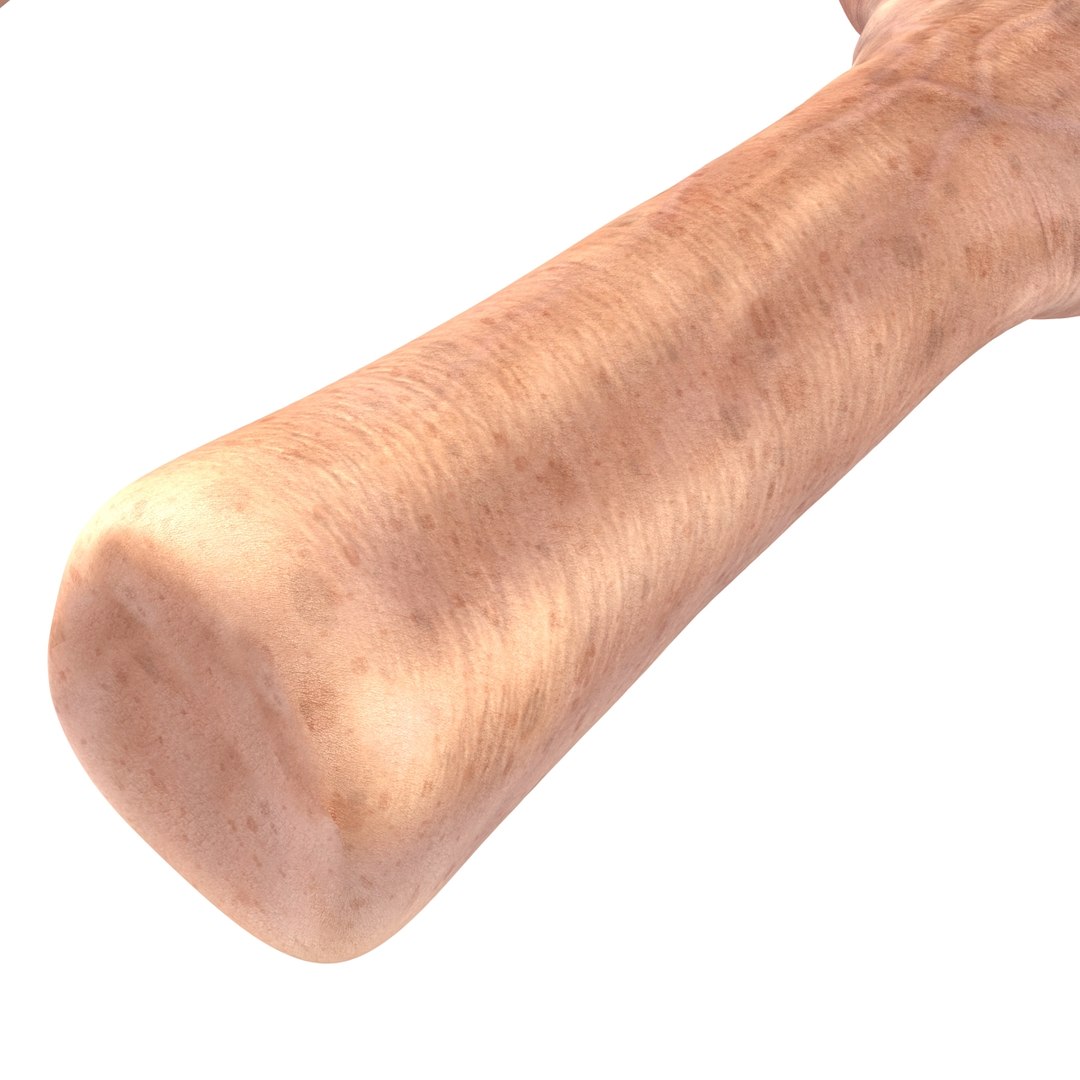max old man hands 3 https://p.turbosquid.com/ts-thumb/ga/CnCB4R/y6tIt0pC/oldmanhandsobj3dmodel18/jpg/1458629576/1920x1080/fit_q87/482340cdf8f27170d752ab9c2c47a56f2aa88716/oldmanhandsobj3dmodel18.jpg