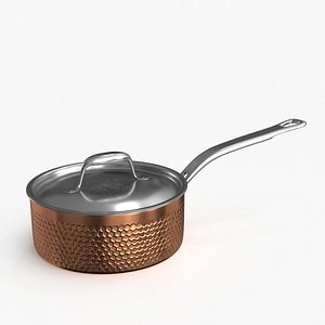 3D model Stainless Steel Cookware Pan v4