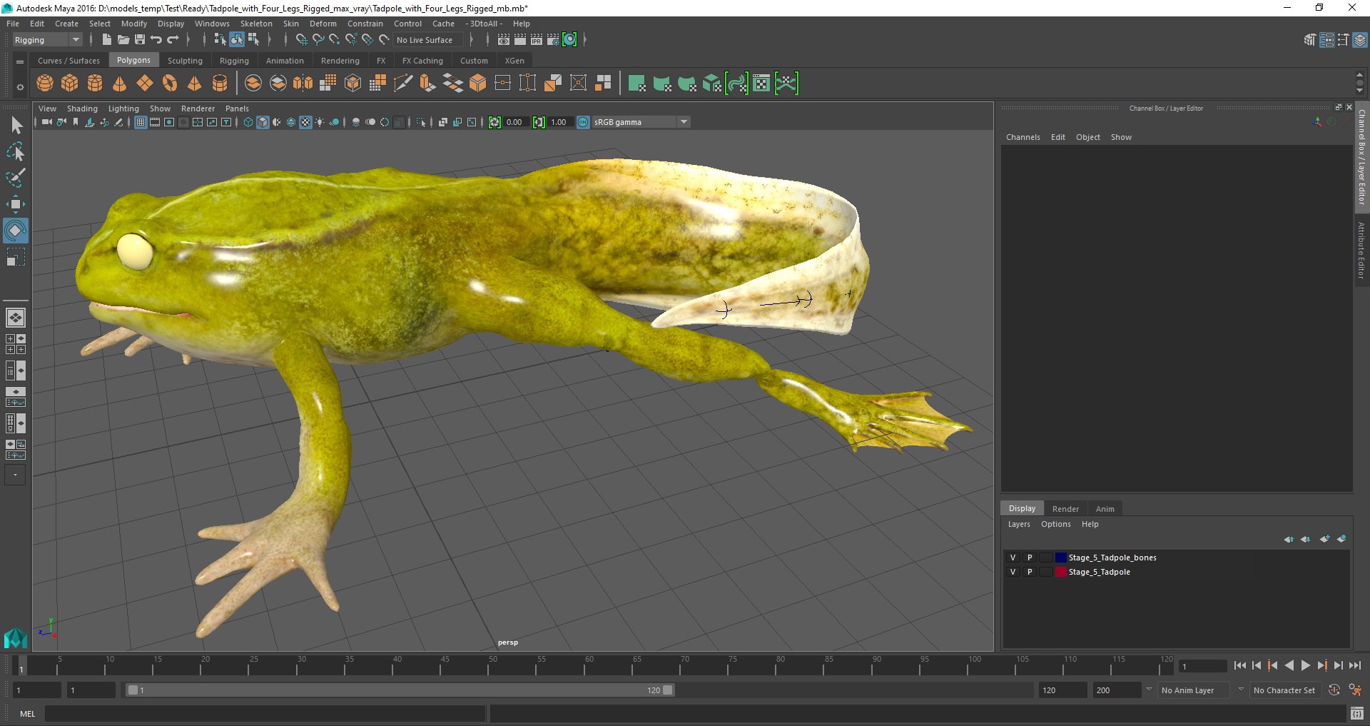 Tadpole with Four Legs Rigged for Maya model https://p.turbosquid.com/ts-thumb/ga/HmnBMj/8U/tadpole_with_four_legs_rigged_mb_04/jpg/1619957325/1920x1080/fit_q87/5f582436a9a0141df5fa11fc10f2a78256ff15c7/tadpole_with_four_legs_rigged_mb_04.jpg