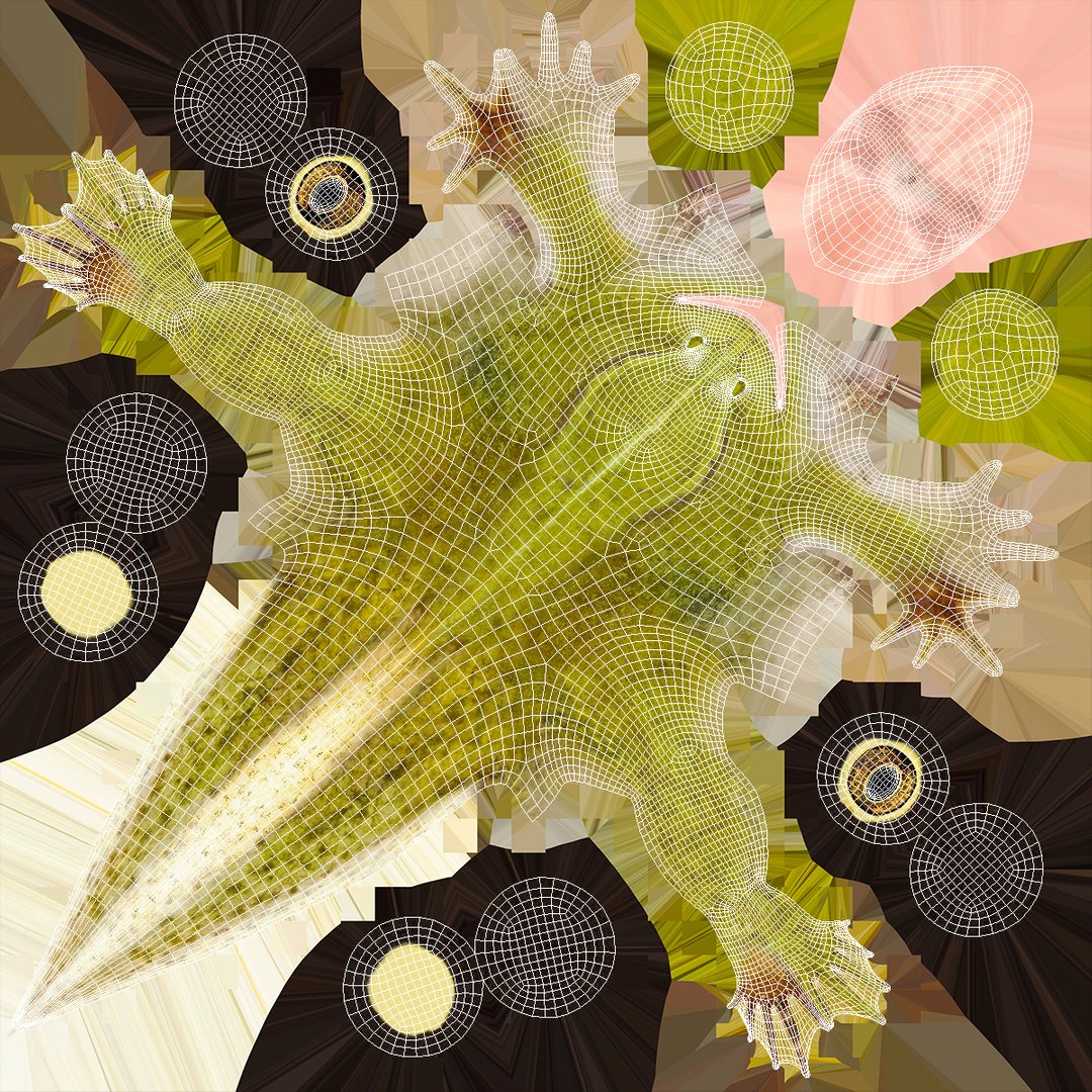 Tadpole with Four Legs Rigged for Maya model https://p.turbosquid.com/ts-thumb/ga/HmnBMj/Nr/tadpolewithfourlegsriggedc4dmodel024/jpg/1617063397/1920x1080/fit_q87/cab115759c287658abc84b148866febe582d558f/tadpolewithfourlegsriggedc4dmodel024.jpg