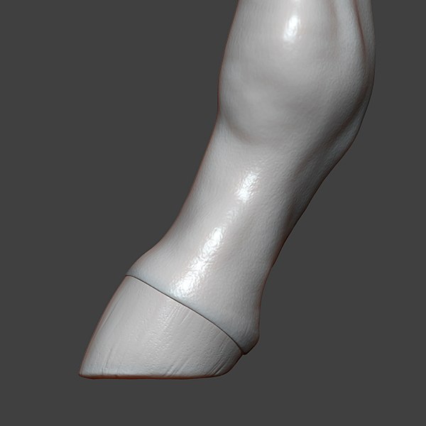 Horse Foal Hoof Highpoly Sculpt 3D model